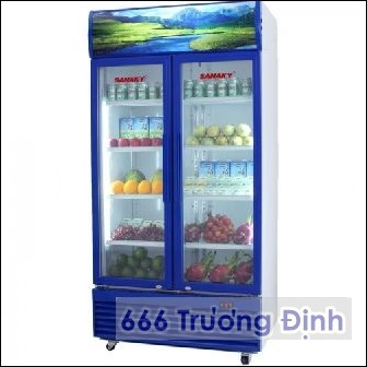 tủ mát 2 cánh mở sanaky 1000 lít viền xanh, bảo hành 12 tháng.